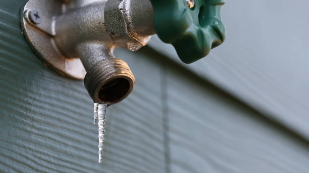 Best Water Heater Repair  in Shady Hills, FL