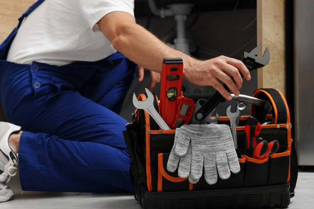Best Clogged Drain Plumber  in Shady Hills, FL